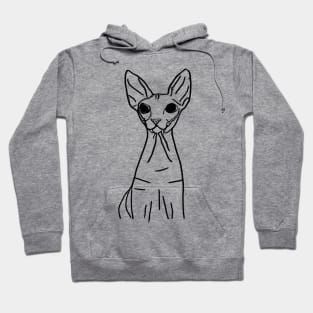 Sphynx cat Hoodie